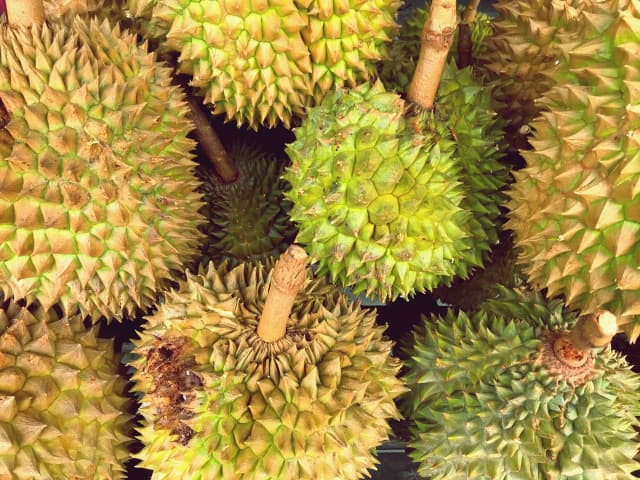 Davao